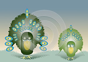 Two Peacocks