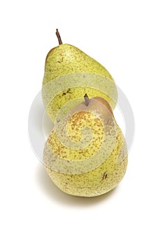 Two pears isolated on white