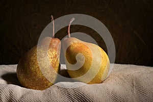 Two pears in still-life