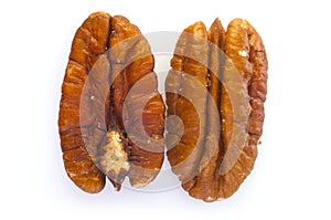 Two Pecan Nuts