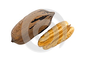 Two Pecan Nuts, one shelled