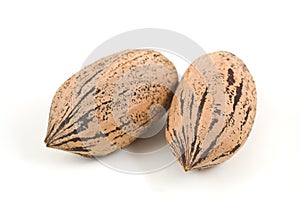 Two pecan nuts on white background.