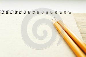 Two pencils on the empty page of a reporters book journal with springs in the sun
