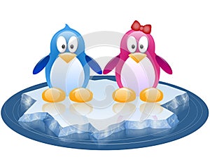 Two Penguins drifting on ice floe