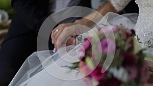 Two People Bride and Groom Hold Each Other's Hands. Wedding Carriage.