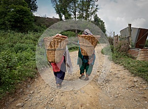 Two People Carrying Bamboo Baskets