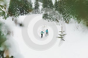 two people cross country skiing next to pine trees with snow