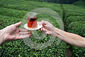 Two people enjoying a traditional glass of Turkish black tea with rows of tea plantations on terraced hills in the background
