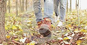 Two people in jeans walk in the woods. Couple walk in the forest. Active rest day. Healthy outdoor lifestyle.