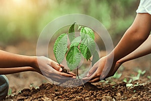 Two people are planting a tree together