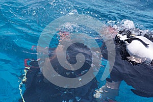 two people in scuba diving suits are swimming under the water.