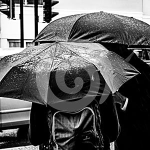 Two  People Sheltering Fron The Rain Under Large Black Umbrellas