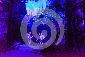 Vallea Lumina, the multimedia, interactive, outdoor night walk near Whistler, BC