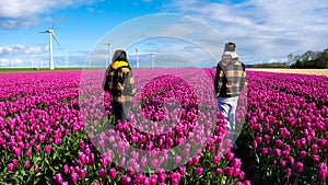 Two people standing gracefully in a vibrant field of purple tulips, surrounded by the beauty of a Dutch spring