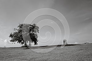 two people standing near a tree