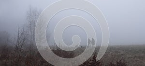 two people walk dog on misty field in the netherlands