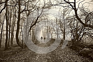 Two people walking in foggy forest beside boulders from celtic period, monochrome image