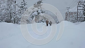 Two people are walking knee-deep in snow on an unblocked road covered with snow during a snowstorm. The background is a