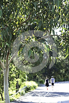 Two people walking in the outdoors, Sydney, Australia