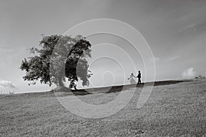 two people walking towards tree