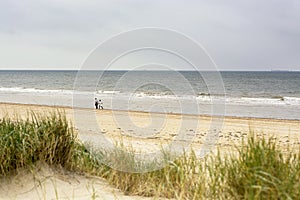 Two people wandering along the coastline of the North Sea in the west of the Netherlands