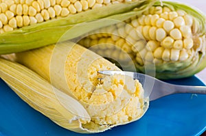 Two perfect corn with a delicious humita in a blue dish photo