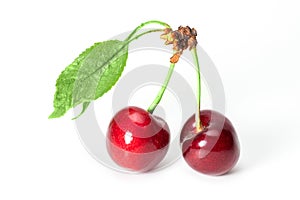 Two perfect sweet cherries with cherry leaf isolated on a white background