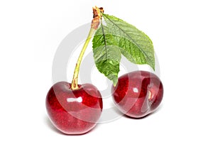 Two perfect sweet cherries with cherry leaf isolated on a white background