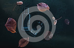 Two perfumes on a dark background