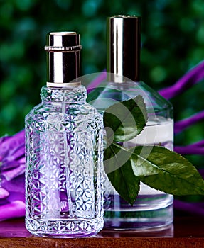 Two perfumes on green background