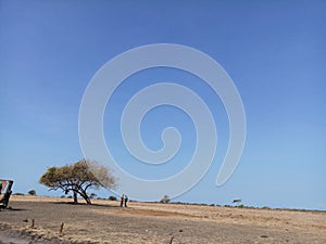 Two person standing in a large savana