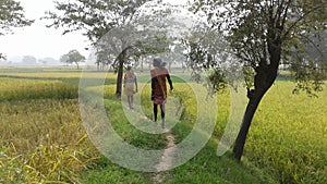 Two persons walking inside field