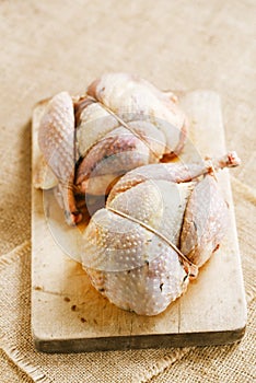 Two pheasants bird, plucked and stuffed on wood