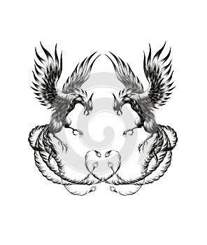 Two Phoenixes. Black and white digital illustration,isolated on white background.