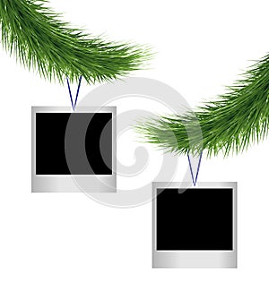 Two photoframes on pine branches