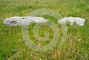 Two Picturesque Rocks in the Meadow