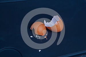 Two pieces of broken egg shell on dark background