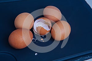 Two pieces of broken egg shell on dark background