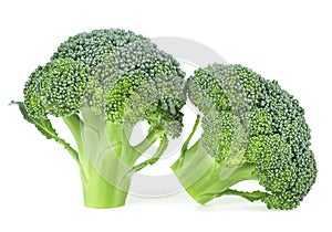 Two pieces of fresh broccoli isolated on white background. Fresh raw broccoli. Healthy food