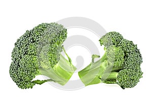 Two pieces of fresh raw broccoli isolated on white background. Healthy broccoli