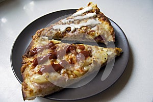 Two pieces of pizza on a plate