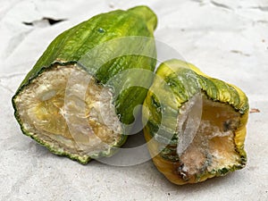 Two pieces of rotten cucumber