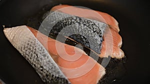 Two pieces of salmons steak grilled in the pan with little oil