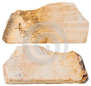 Two pieces of Shale mineral stone isolated