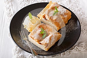 Two pieces of strudel with cottage cheese, and vanilla ice cream