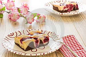 Two pies on the plate