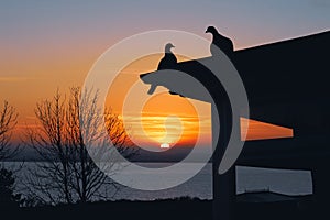 Two pigeons in silhouette on a gazebo roof as the sun goes down on the horizon. There is a bay of water and winter trees