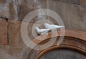 Two Pigeons are sitting on the armhole of the Church, With Close-up