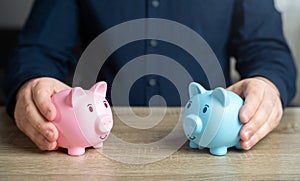 Two piggy banks symbolizing opposite genders. photo