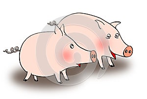 Two pigs